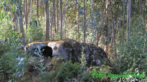 A Valgada da Fonte do Sapo II. Sucos realzados dixitalmente.