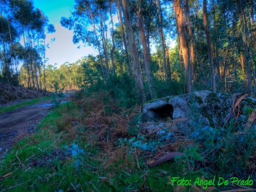 A Valgada da Fonte do Sapo II