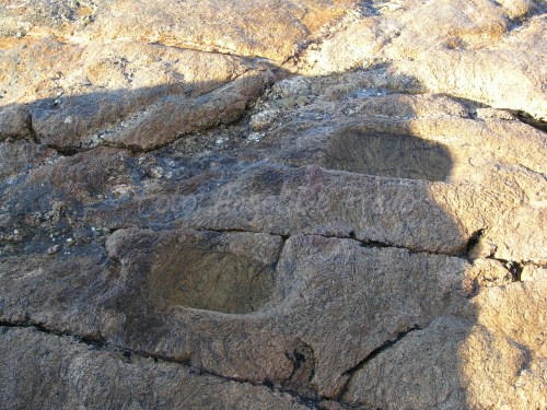 Muíños naviculares de Fortiñón.